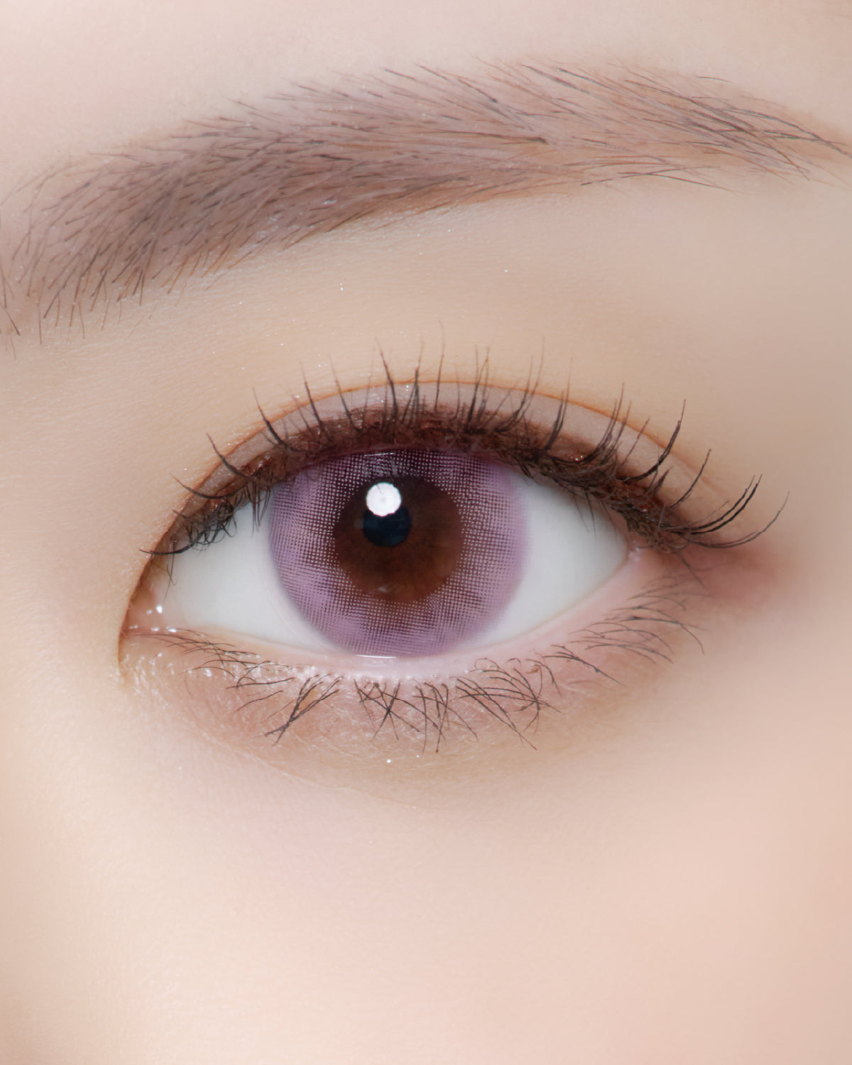 eeys 필로우 톡 라벤더 베이지 원데이 컬러렌즈